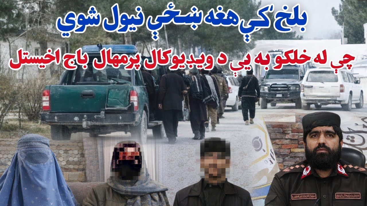 بلخ کې دامنیه قومندانې له خوا هغه کسان نیول شوي دي چې له خلکو به یې انټرنټي باج غوښتلو .