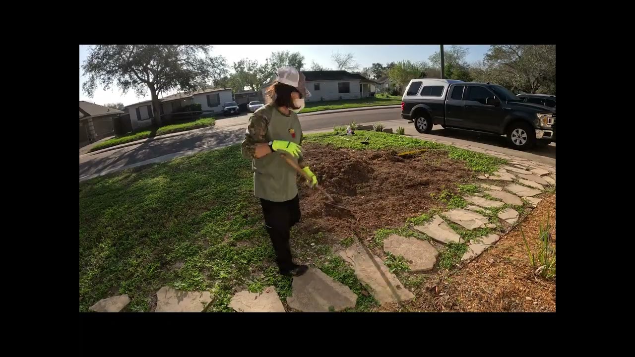 Cleaning up the mulch left over from the tree removal