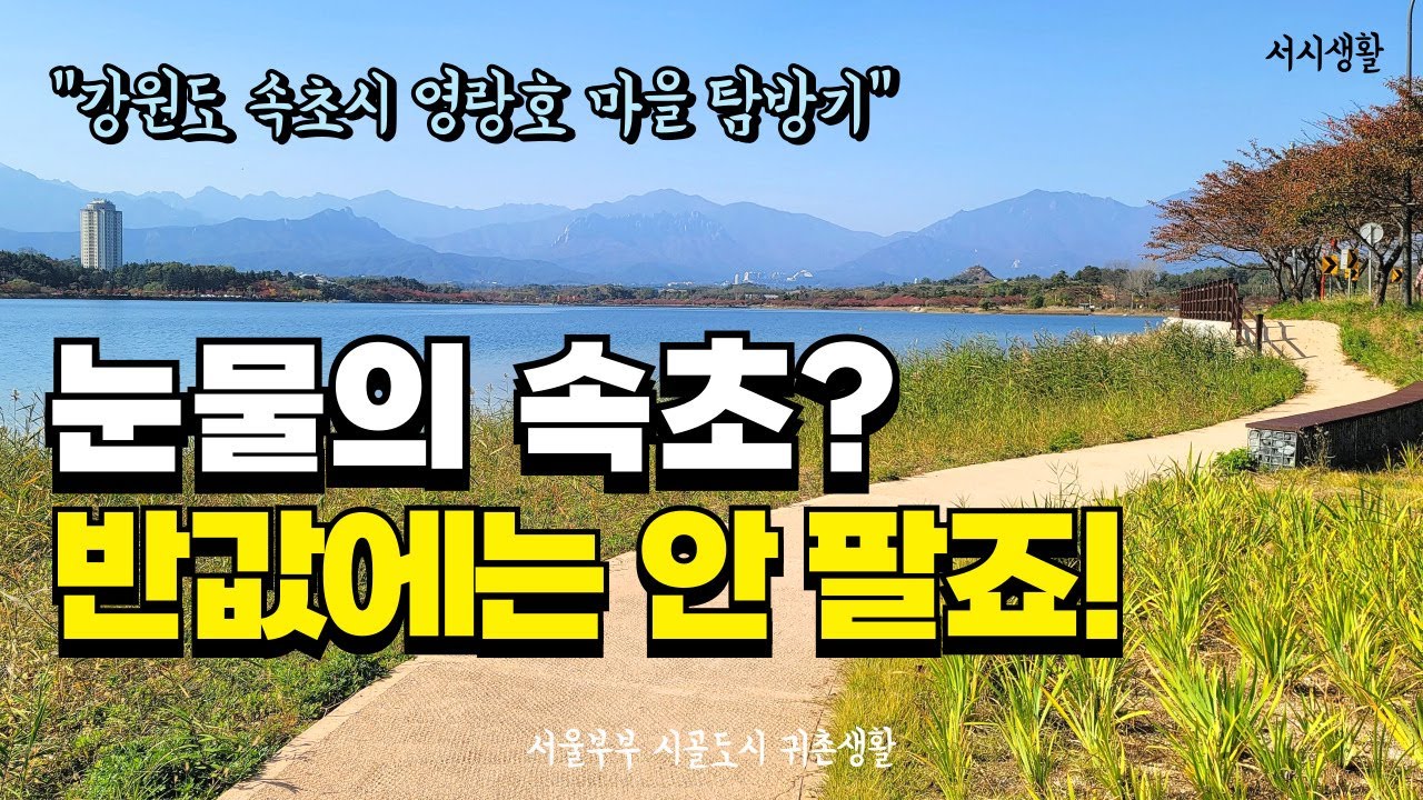 강원도 속초 바닷가 영량호 마을 탐방기, “외지인이 다 망쳐 놨어요?” 눈물의 속초 부동산이 아닌 이유