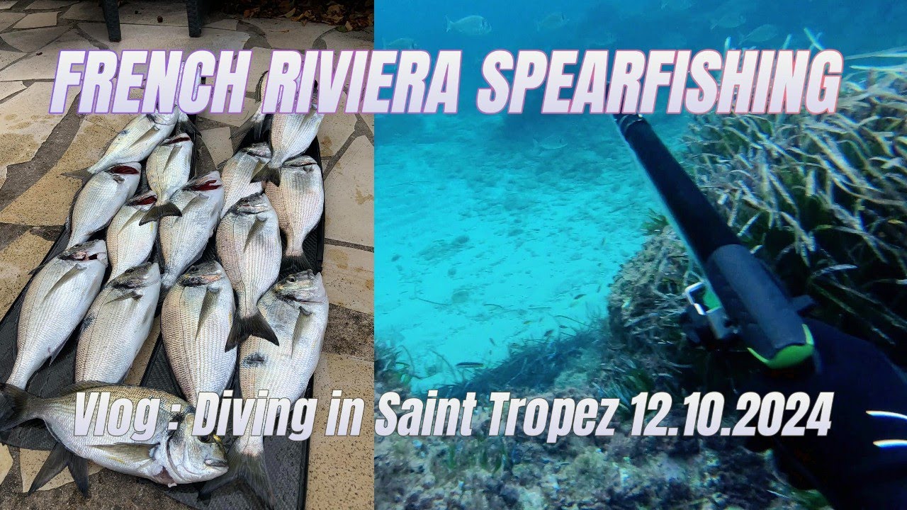 How I spearfished 16 Sea Bream in One Day in saint Tropez! (Vlog :  12.10.24)