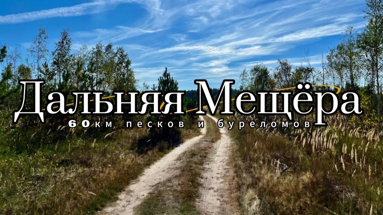 Дрезна - Авсюнино. Пески и буреломы.