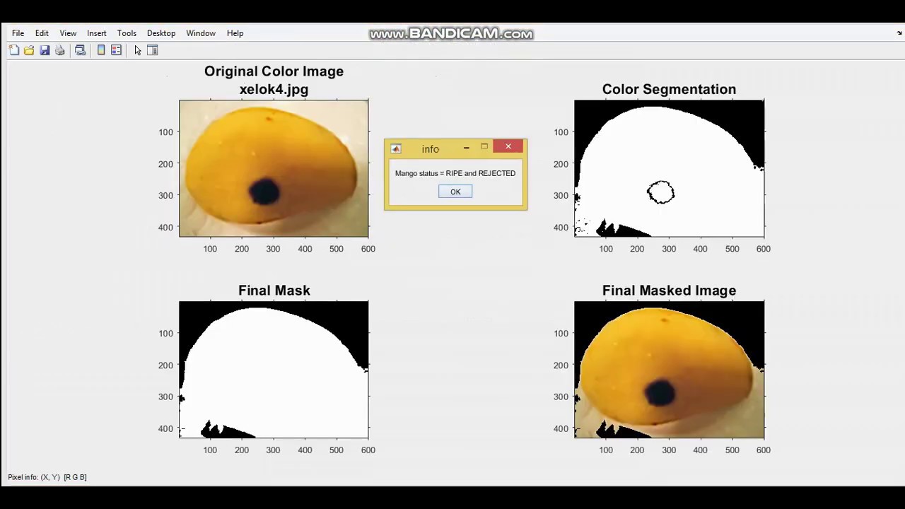 Mango Grading using Image Processing