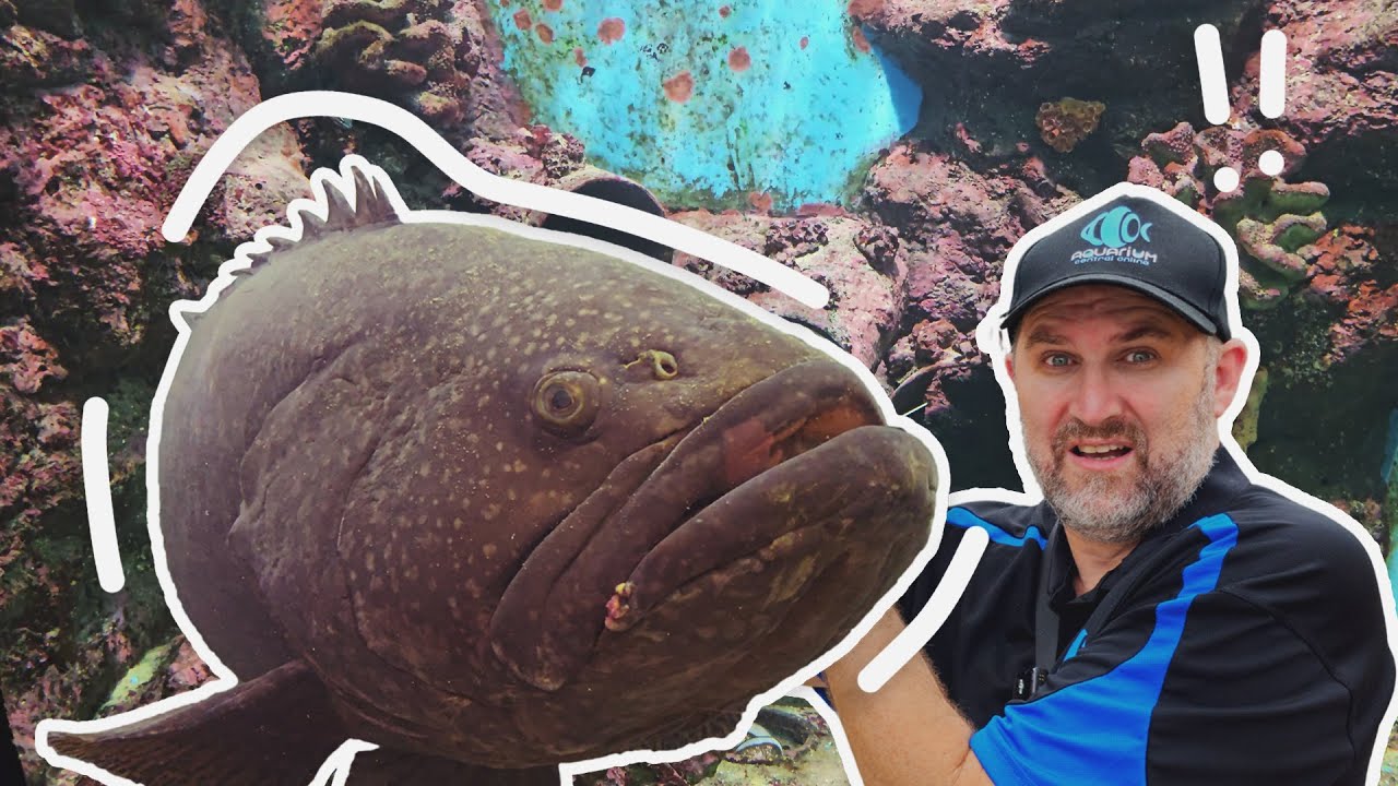 Inside Thailand&rsquo;s Most Underrated Aquarium: You Won&rsquo;t Believe What We Found for $15