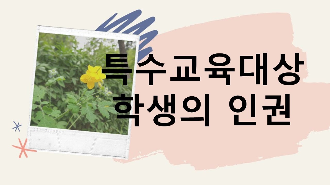 교육공무직/특수교육실무사/면접대비/특수교육대상 학생의 인권