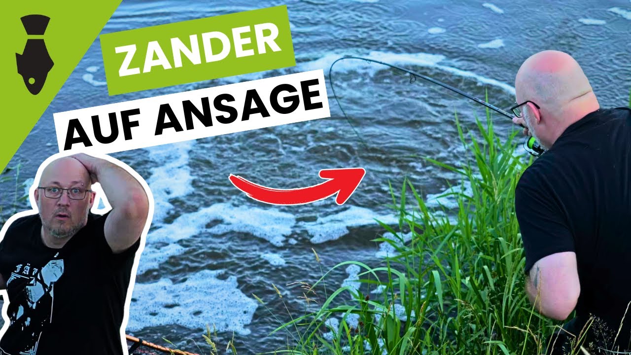MONSTER ZANDER auf Ansage! - Mit dem Ende haben wir nicht gerechnet 😱