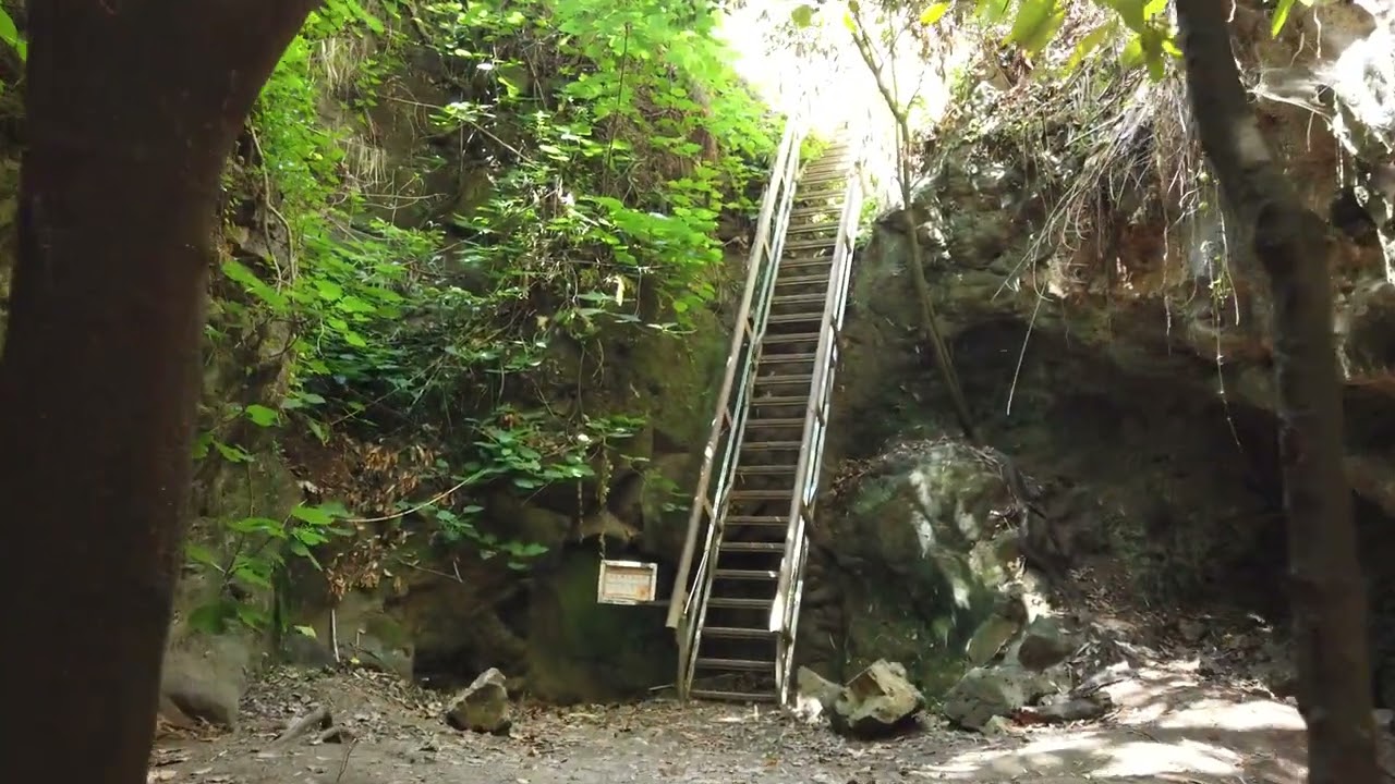 WalkingGC - Gran Canaria - Walking Barranco del Álamo - 2.7 k - 60fps