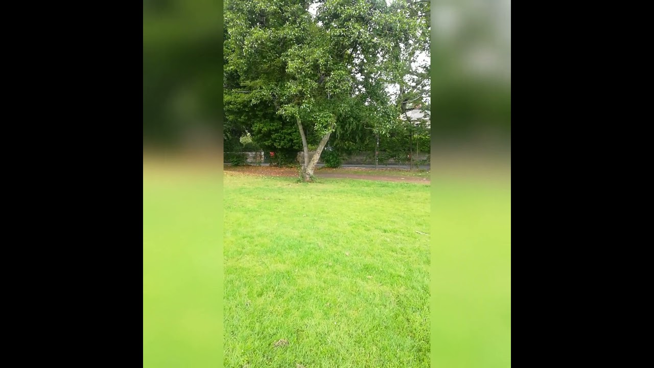 Zonas verdes    | Bantock Park | Wolverhampton |