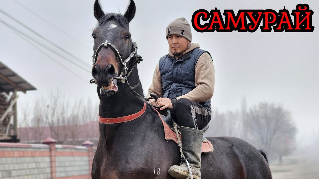 Эламанда САМУРАЙ