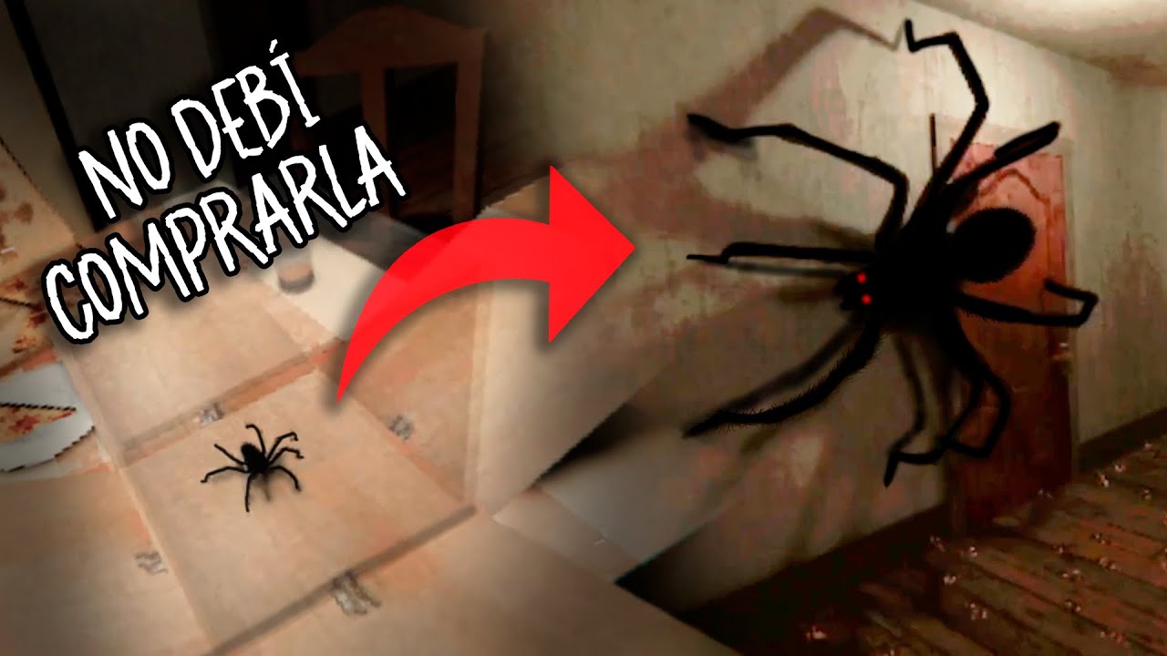 compre una araña… fue una PESIMA decisión