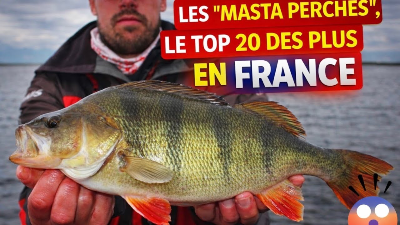 Les 