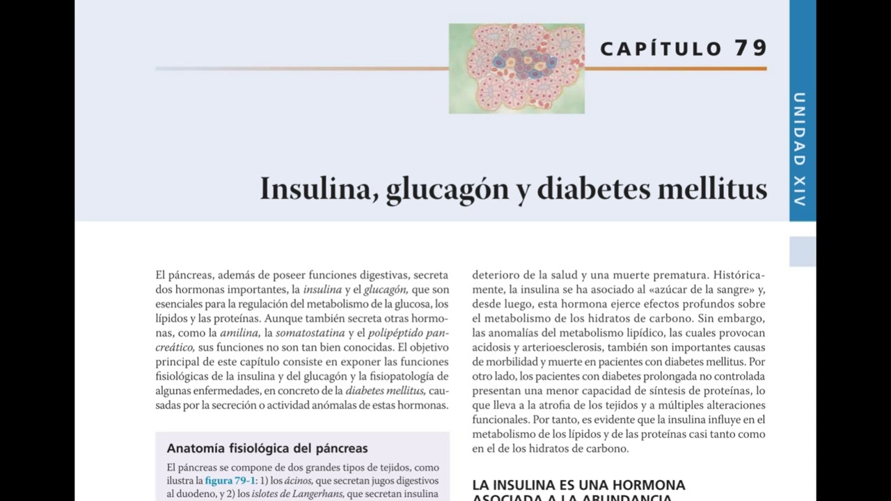 Podcast: Resumen Capítulo 79 – Insulina, Glucagón y Diabetes | Guyton 14ª Ed.