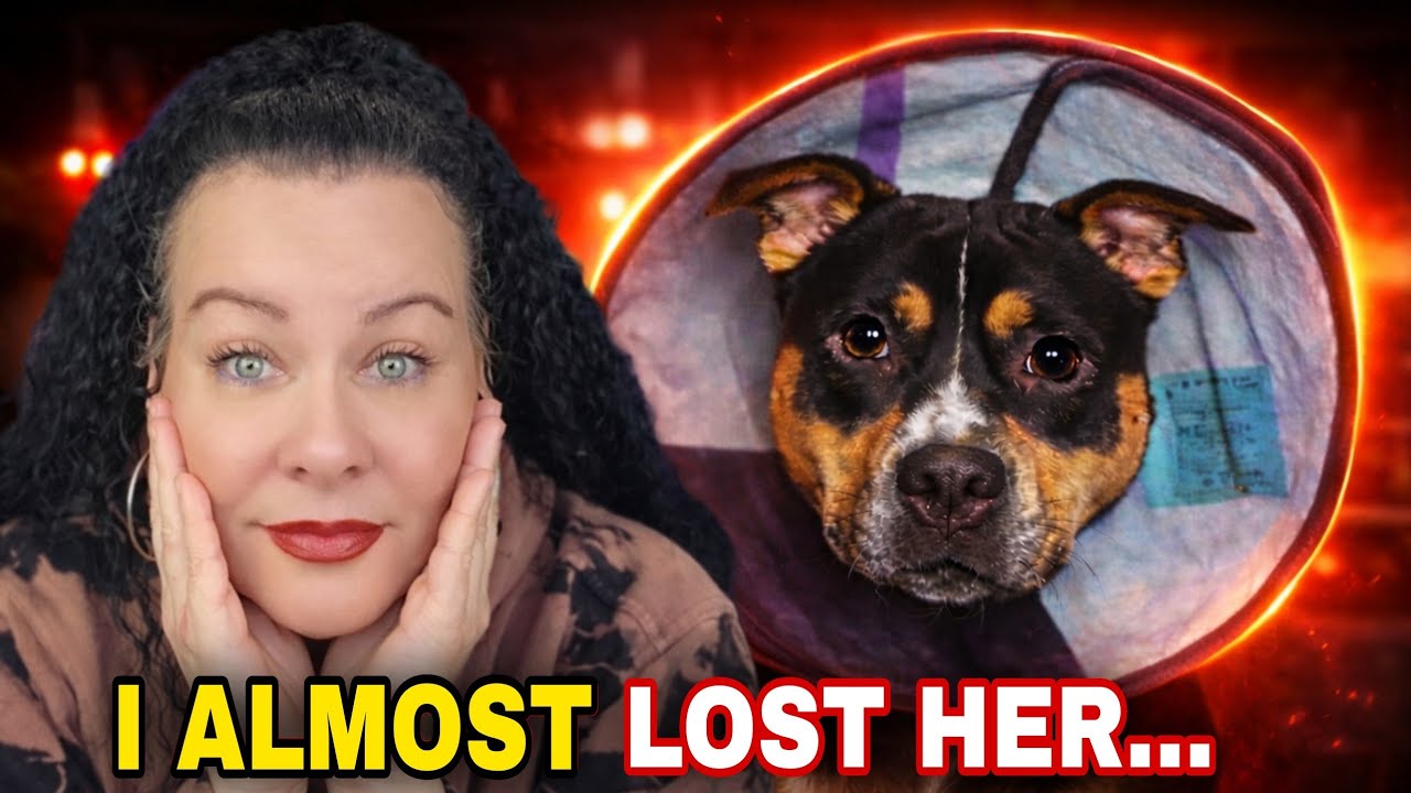 A SCARY Situation & The Truth I&rsquo;ve Been Holding Back