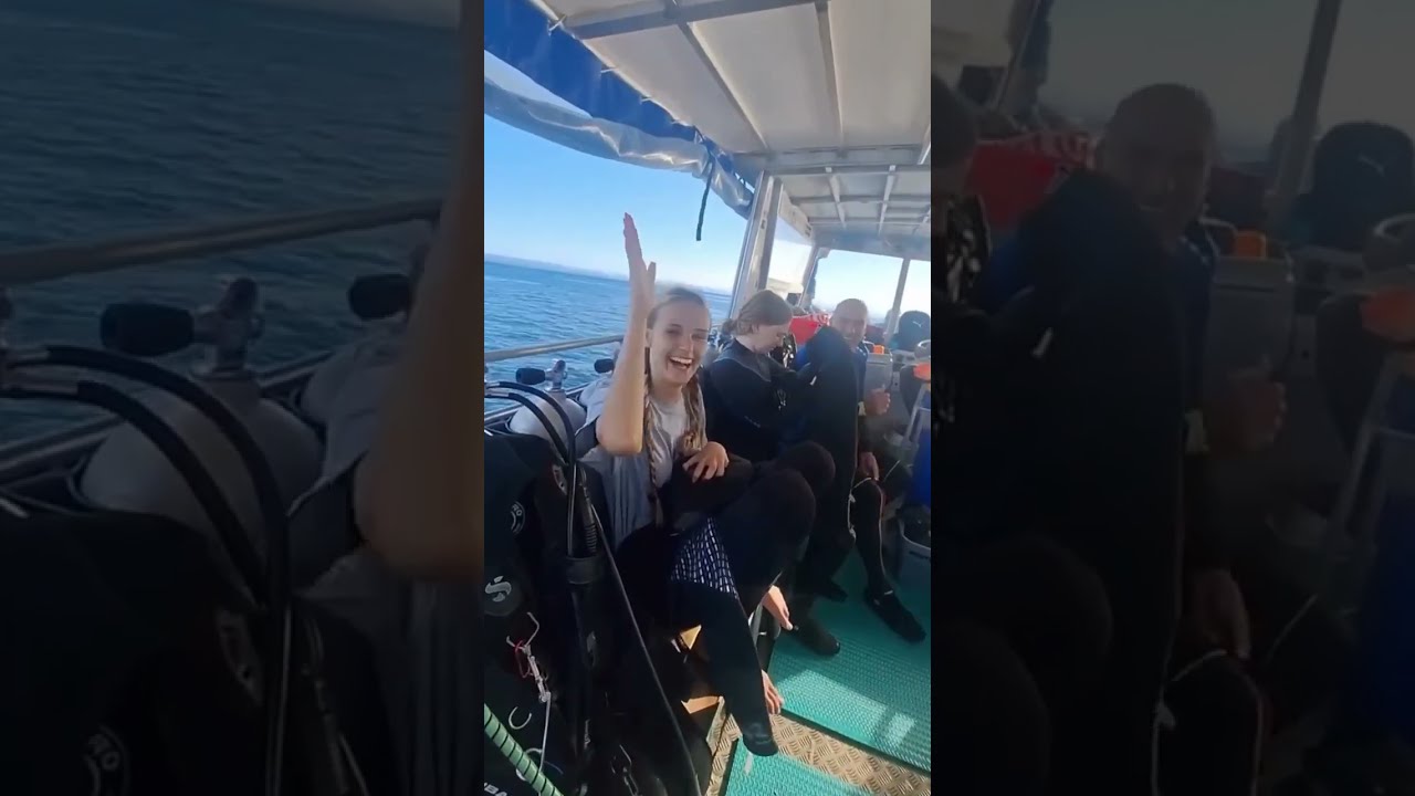 🌊🦈 Dive into Adventure with Us! 🦈🌊
