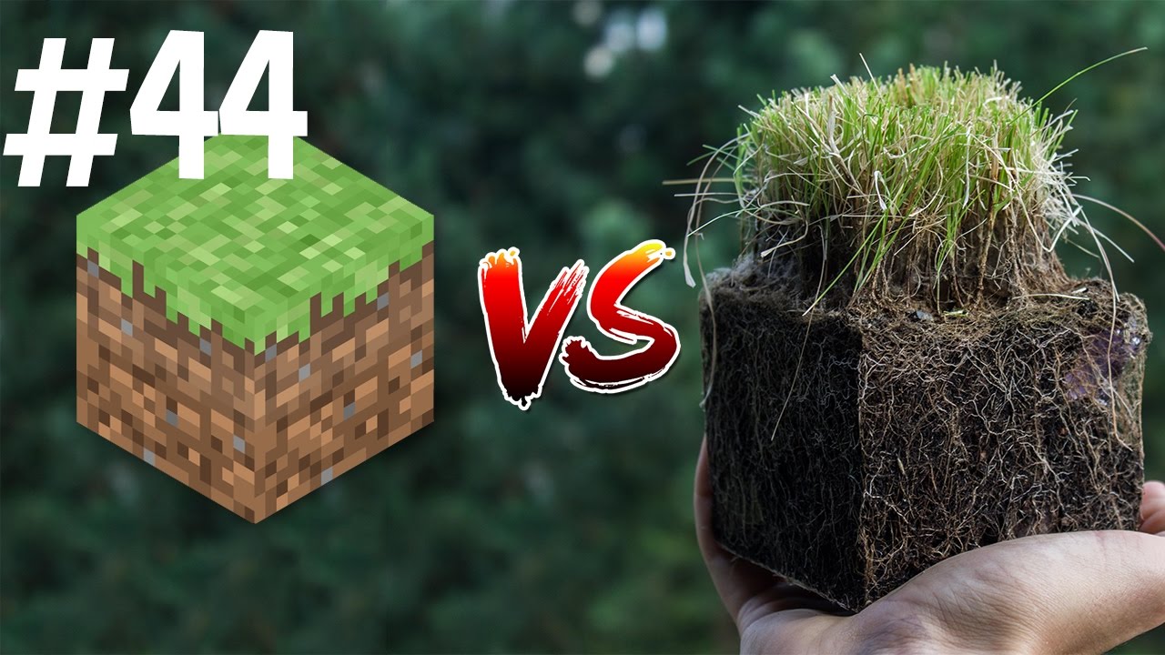 Minecraft vs Real Life 44
