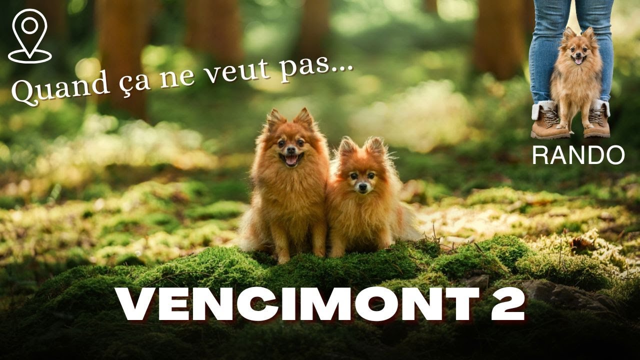 Quand ça ne veut pas, ça ne veut pas! (rando canine)