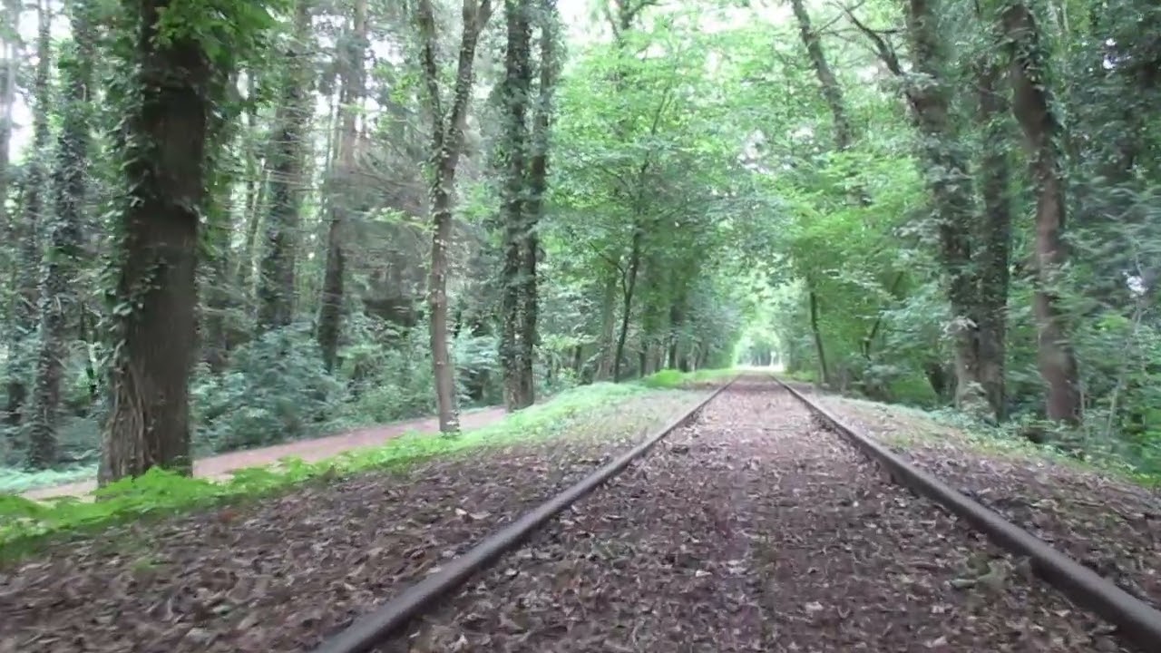 Mit dem Bahnmeisterwagen von Kilometerstein 10,9 bis nach Neuenkirchen