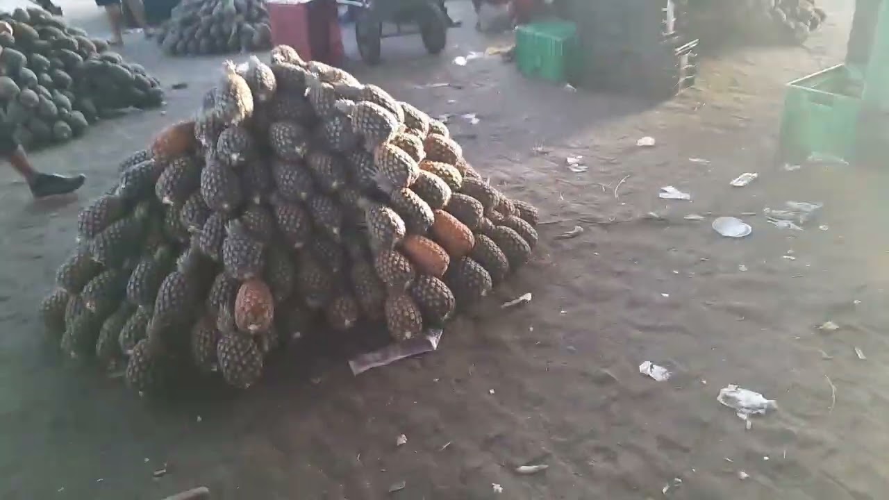 27 de fevereiro de 2026