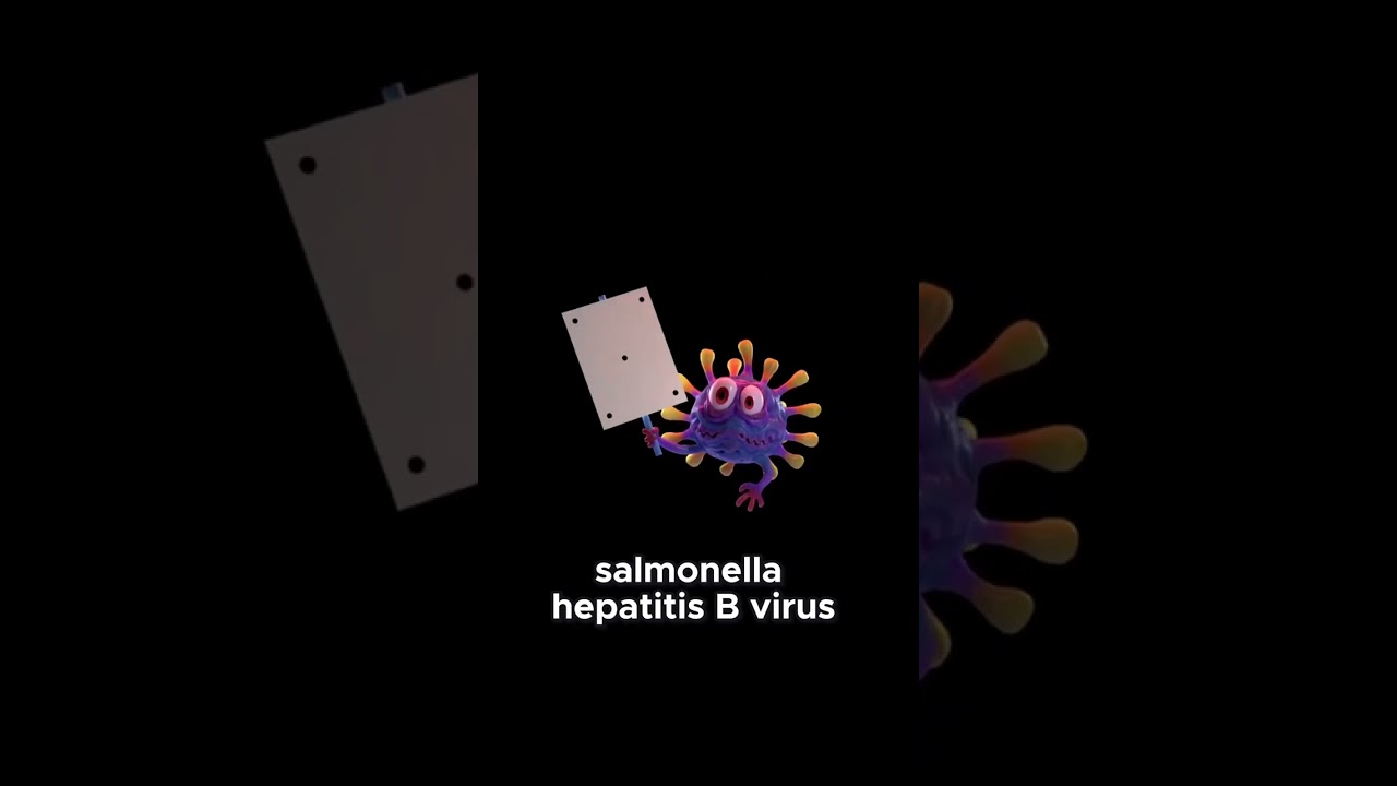 5 Essential Safety Protocols for Hospital Labs | Biosafety Level 2 | 