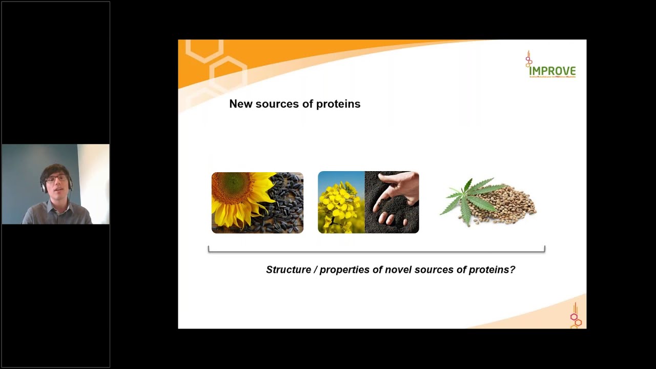 How to Assess Protein Functionality