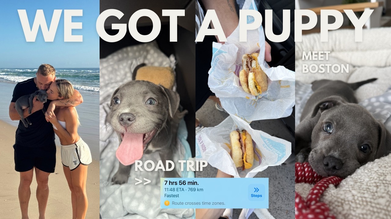 Becoming a DOG MUM!! Day in my life w/my 8 week old puppy *no one prepared me for this*