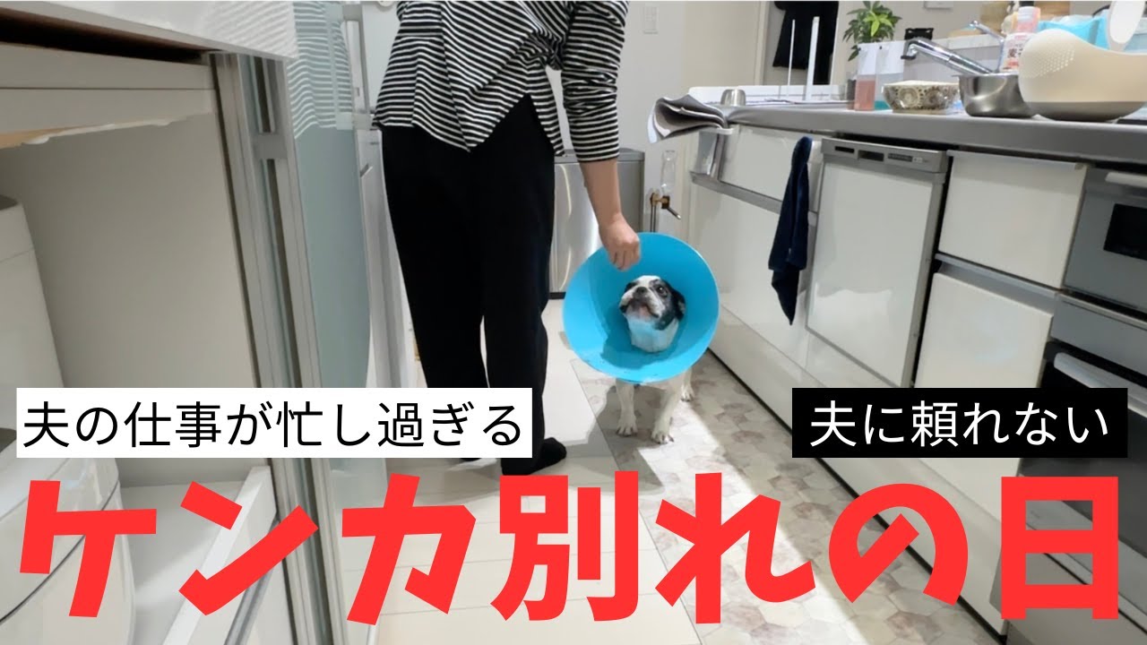 【39歳アラフォー育児中】夫に仕事休んで欲しいって言った事無い…