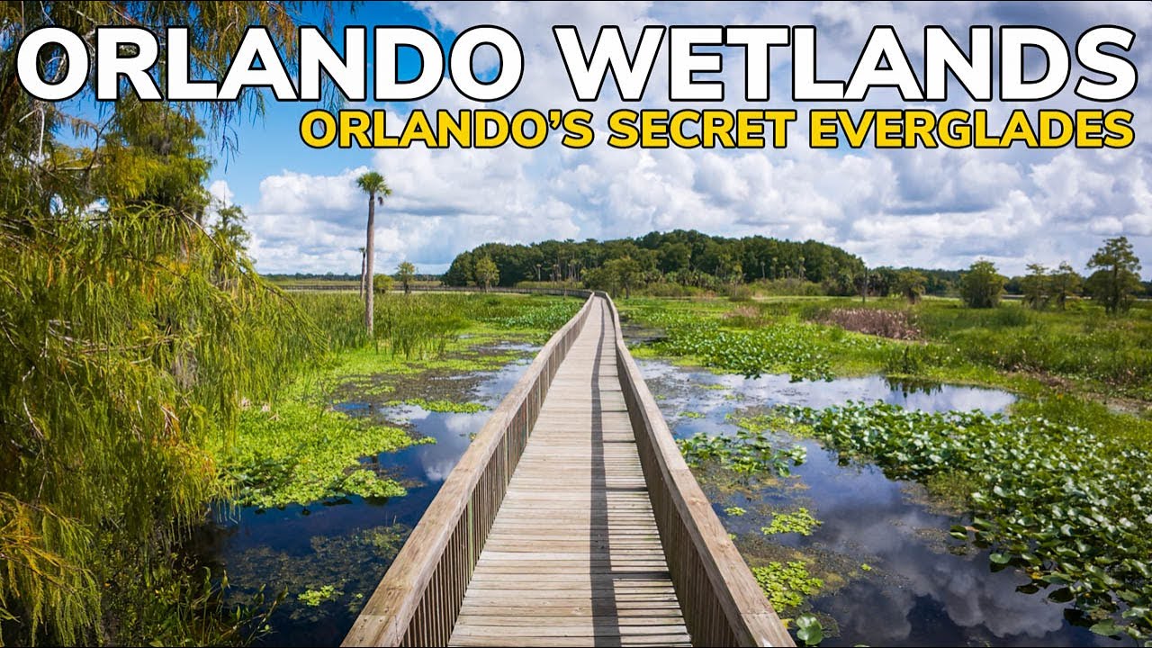 This Feels Like the Everglades… But Near Orlando!