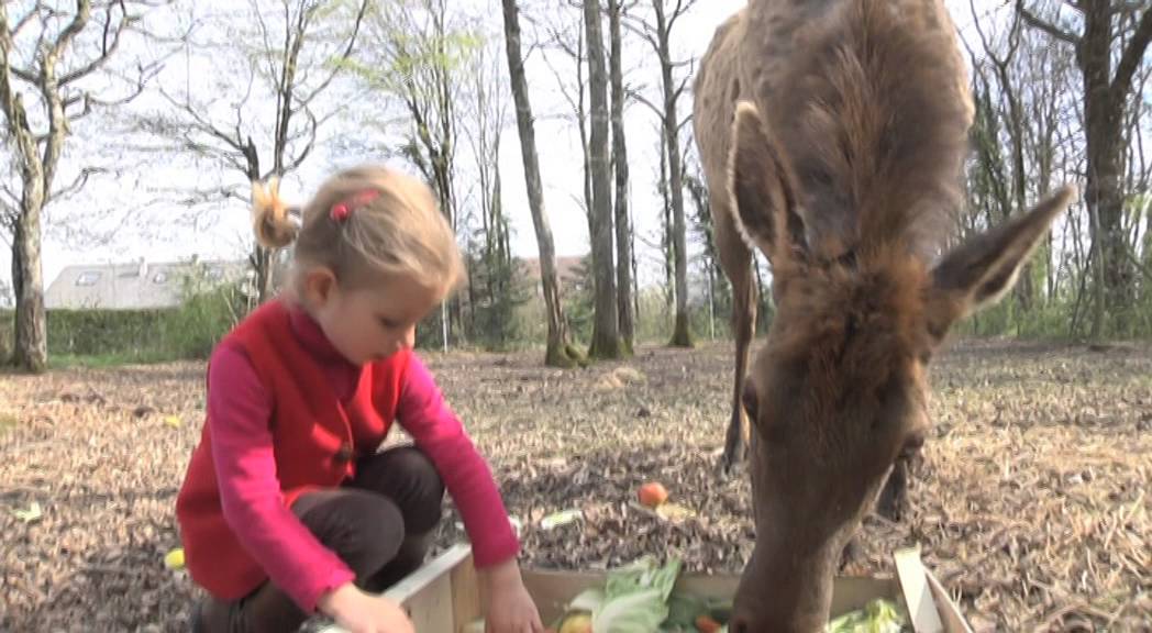 La bédouère: une enfance au milieu des cerfs