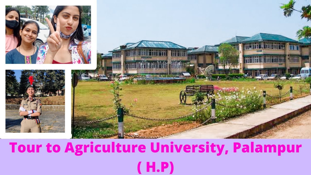 CSKHPKV ( Agriculture University , Palampur ) Himachal Pradesh Campus Tour | VLOG #1 | SKVLOGS