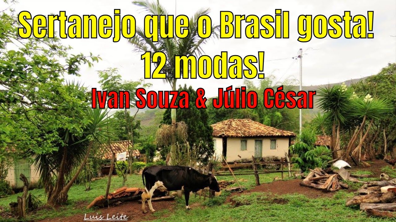 Sertanejo que o Brasil gosta!  -  Ivan Souza & Júlio César