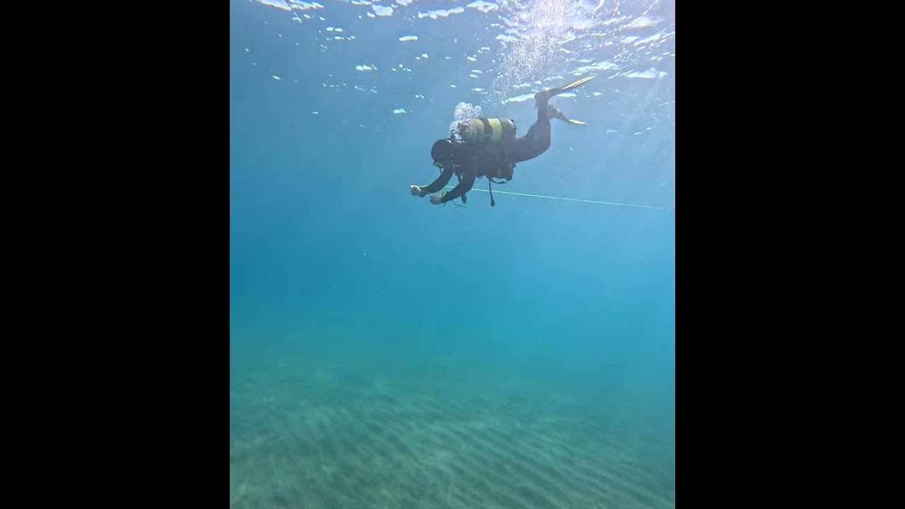 Scuba Diving in Canarias #canarie #immersioni #oceanoatlantico #scubadiving #tenerife #underwater