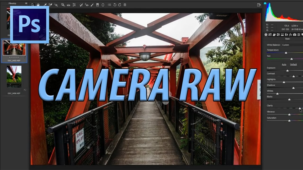 Как использовать Camera Raw в Adobe Photoshop CC 2017
