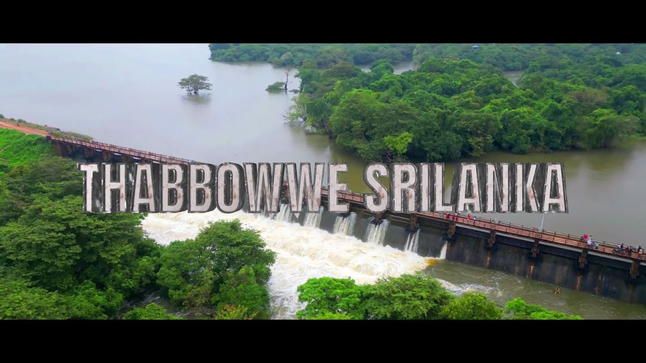 #Puttalam Thabbowe Dam Vlog ｜ Rainy 2024 @Sahe eagle @prime Puttalam Academy @MrBeast @Rytham Tv