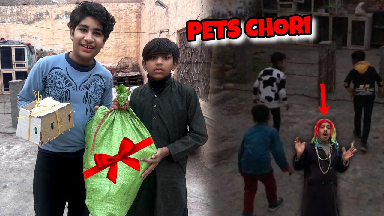 SARE PETS LEAYE😊|QASAI KI TEAM NE PETS CHORI KARLIYE😰