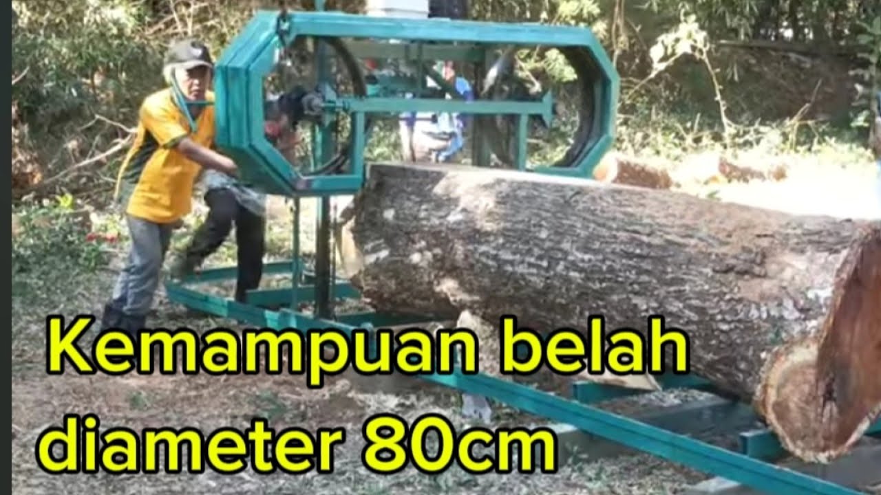 Menggergaji Kayu Trembesi Diameter 80cm Bahan Meja Solid