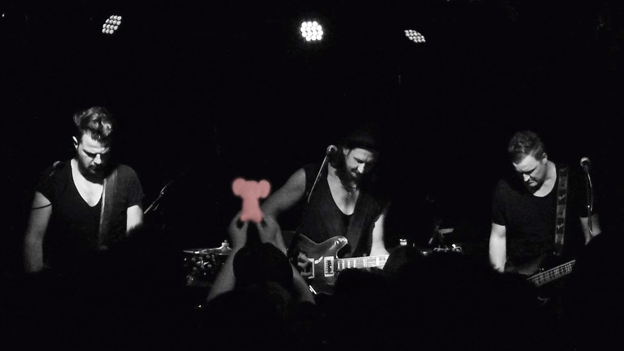 Norman Keil  - Rosa Elefanten -  im LUX / Hannover   11.11.2017