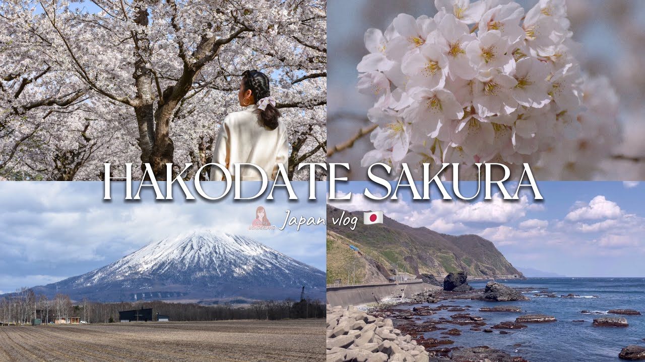 HAKODATE SAKURA TRIPS PART 1 🇯🇵/ชมสวนซากุระครั้งแรกในชีวิตสวยมาก🌸 ทางผ่านเขาniseko สุดยอดเรียวกัง