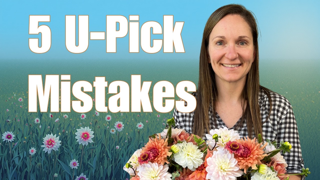 5 Things I’d Do Differently Starting a U-Pick Flower Farm