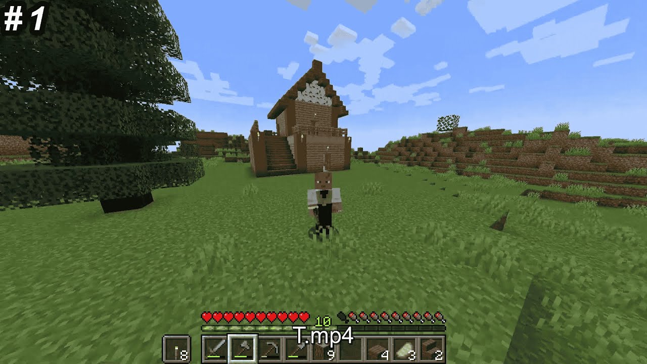 Minecraft || #1