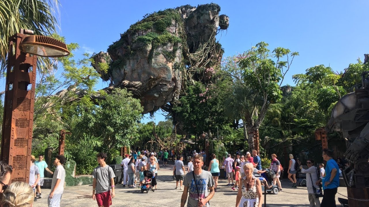 Animal Kingdom | Walt Disney World Vlog October 2018