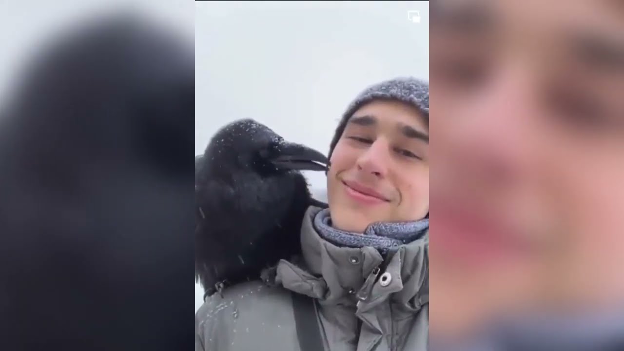 A Normal Day In Russia v16