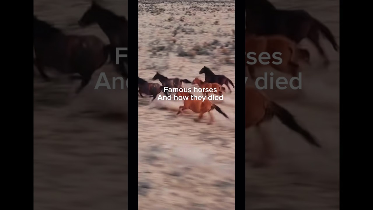Famous horses and how they die💔 