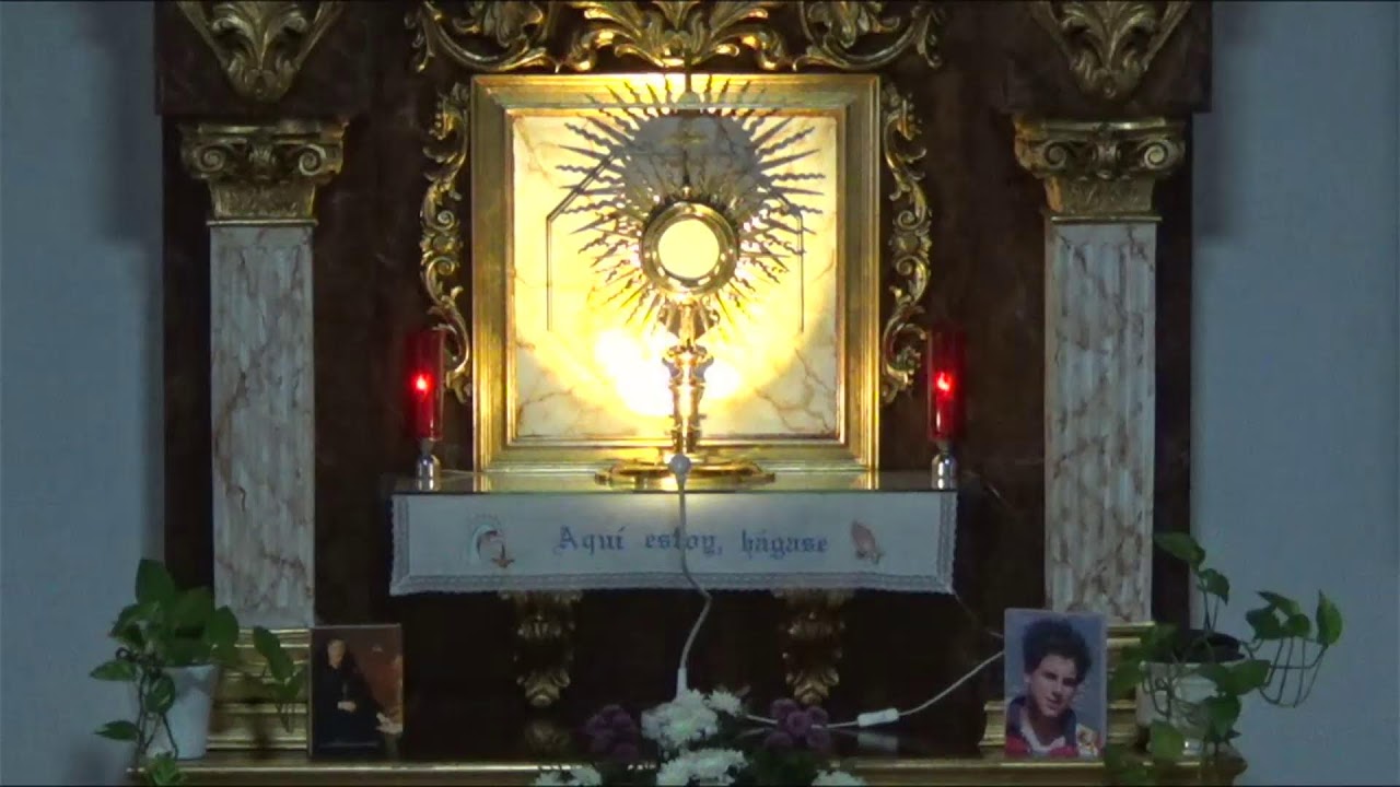 ADORACIÓN EUCARÍSTICA PERPETUA