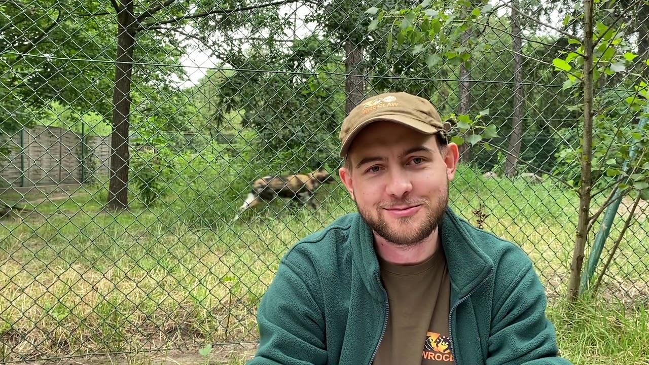 ZOOpytaj eksperta odc. 14 Krzysztof Stegmann, opiekun zwierząt drapieżnych w ZOO