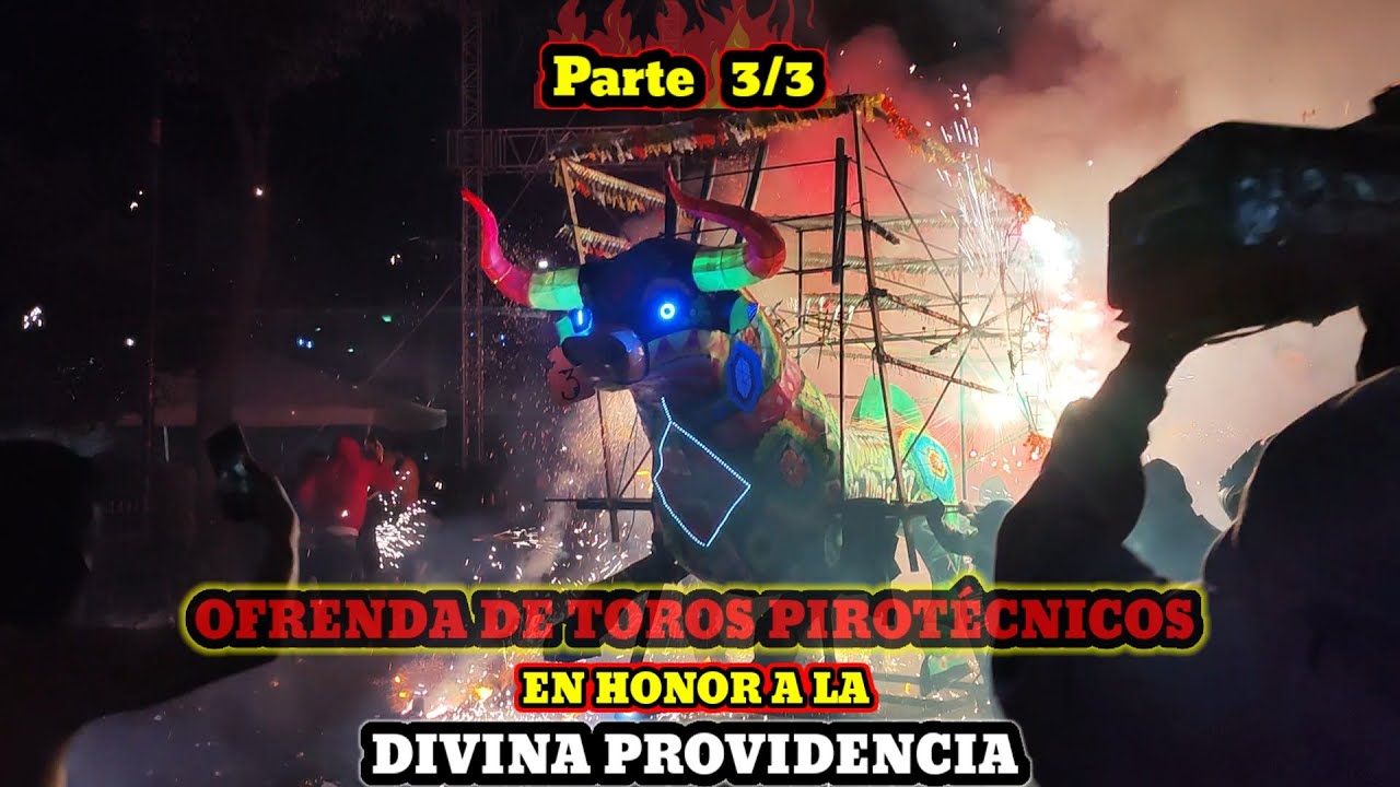 OFRENDA DE TOROS PIROTÉCNICOS EN HONOR A LA DIVINA PROVIDENCIA 1/1/2025 Melchor Ocampo, MEX (3/3)