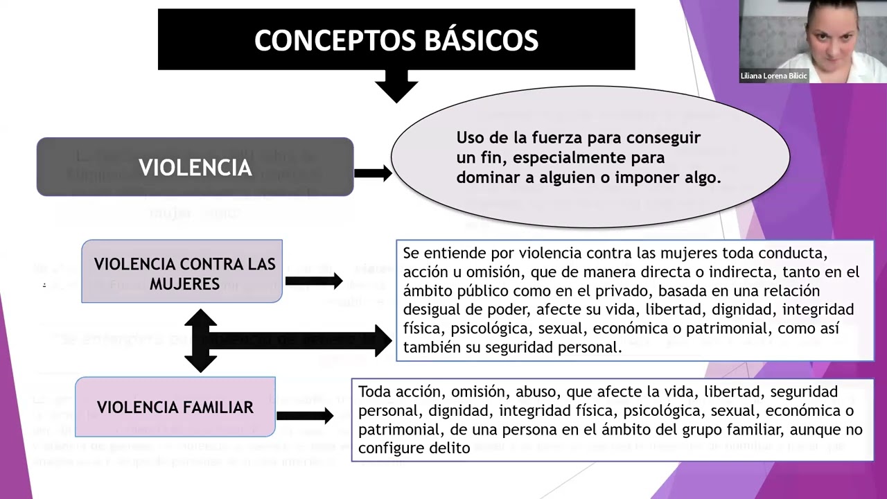 DELITOS VINCULADOS A LA VIOLENCIA DE GÉNERO