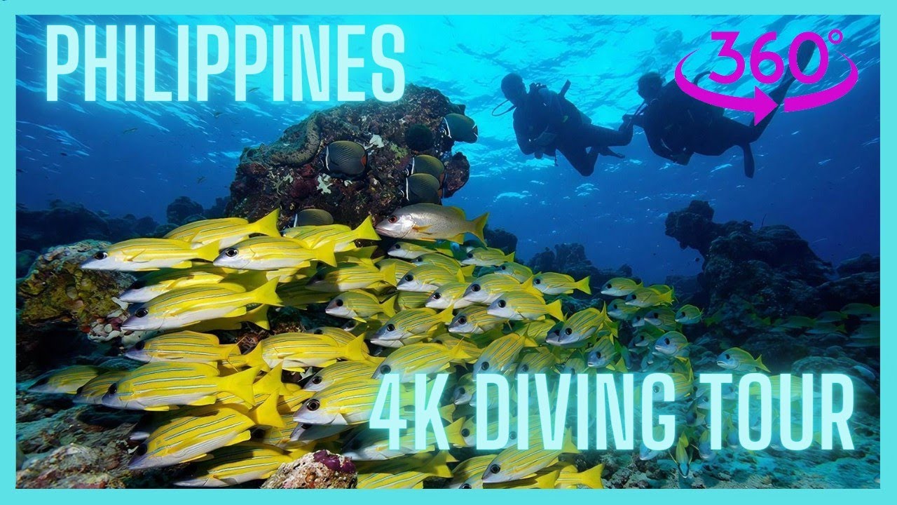 🌊🔍🐠 Unveiling the Secrets: Explore the Pristine Coral Reefs of the Philippines in Immersive 360&deg; 4K