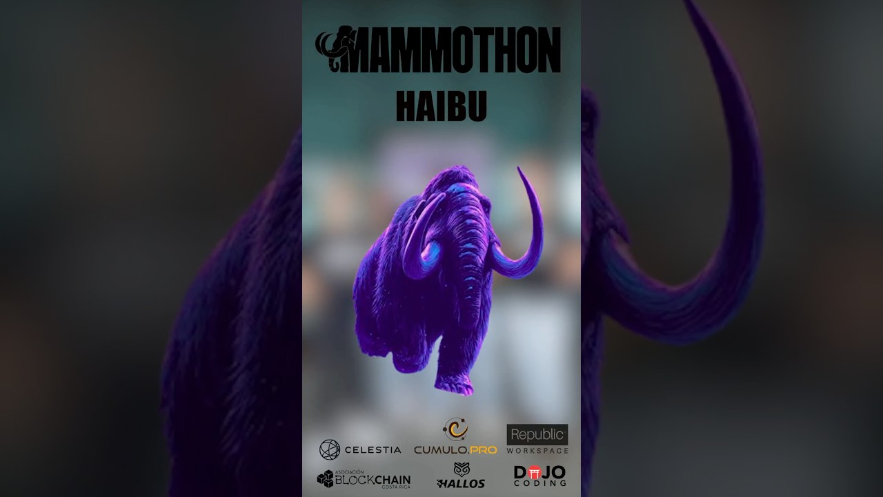 Haibu Red Social Descentralizada| Mammothon de Celestia  #celestia #blockchain #web3
