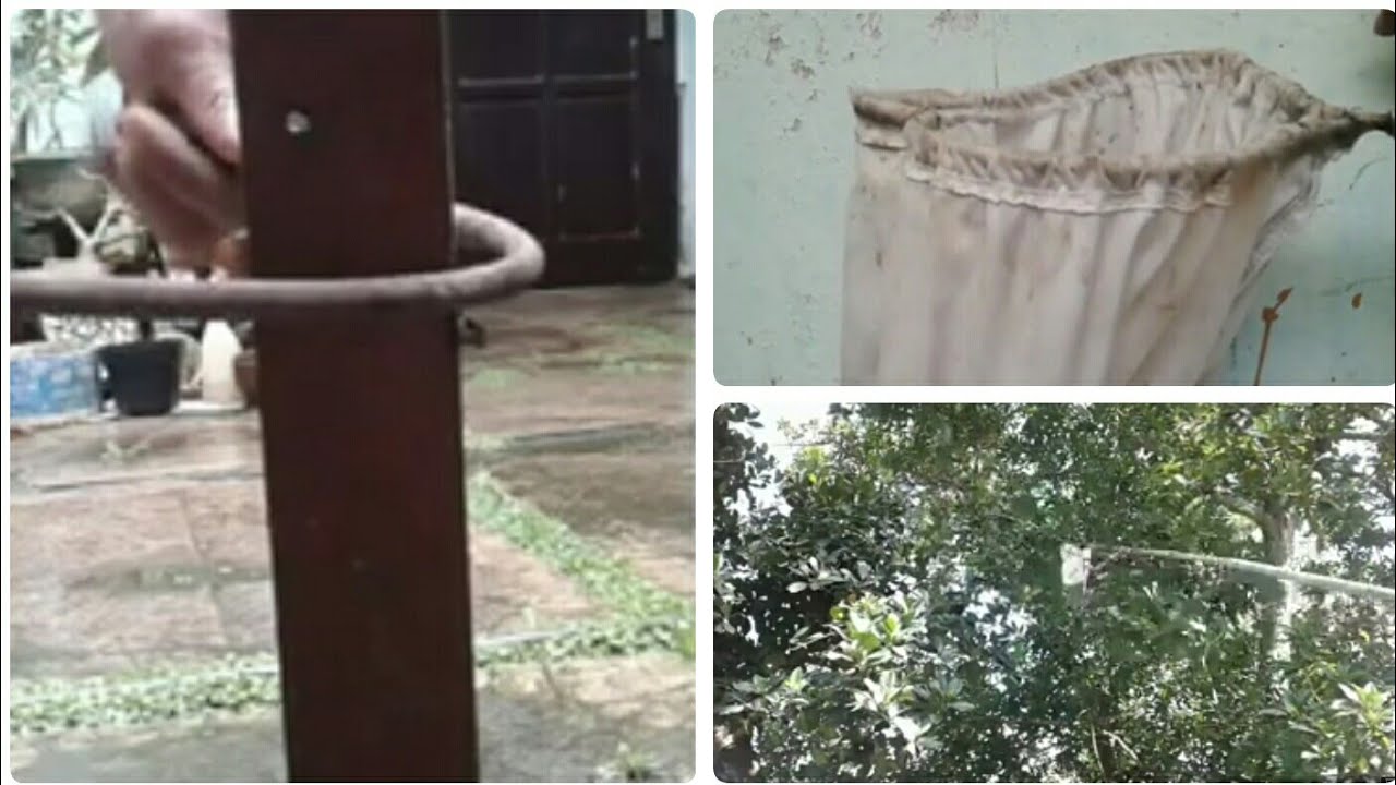 Cara buat alat pemetik buah secara sederhana