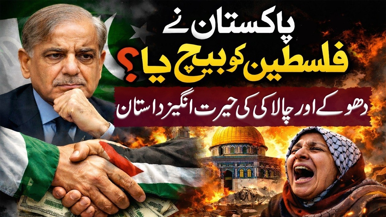 Latest Updates by Syed Ali Haider