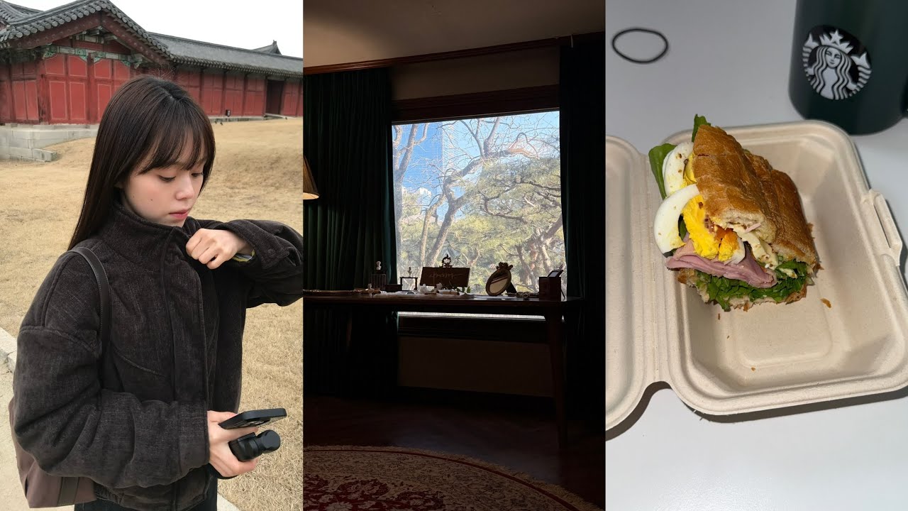 일상vlog | 서촌 카페 | 신사 피자맛집 | 성수 올리브영 vip라운지 